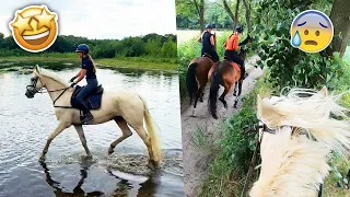 OP VAKANTIE MET DE PAARDEN! Kapotte band & recht op een BOOM af... | felinehoi VLOG #585