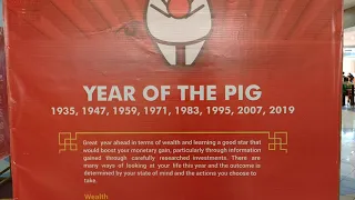 Chinese New Year Horoscope - Year of the Pig