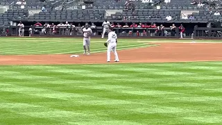 Oswald peraza and Ronald Guzman first bleacher creatures (RollCall) #Yankees #Twins