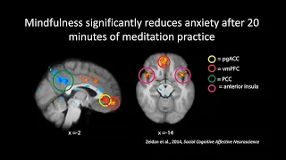 The Neuroscience of Meditation, Mindfulness, and Compassion