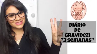 Diário de Gravidez - 3 semanas