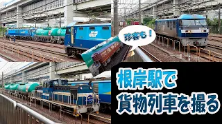 根岸線根岸駅で貨物列車発着の様子を撮る（珍客もやって来た）