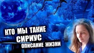 Сириус ✨ Кто Мы - Описание Жизни ✨ Галактическая Федерация Света 💖✨