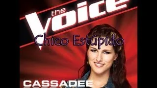 Stupid Boy (The Voice Performance) - Cassadee Pope (Subtitulado al Español)