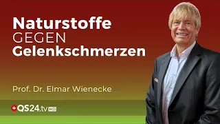 Die natürliche Alternative zu Medikamenten bei Gelenkbeschwerden | Prof. Dr. Wienecke | QS24 Gremium