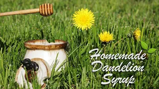 Dandelion Syrup Recipe and Canning-  AKA Poor Mans Honey