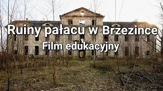 Brzezinka - Film edukacjny - Ruiny pałacu