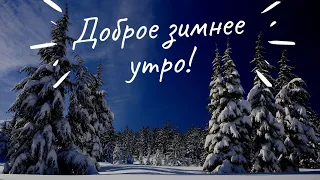 ДОБРОЕ ЗИМНЕЕ УТРО! ❄ Красивое пожелание доброго утра.