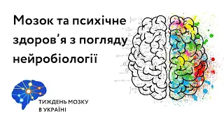 Мозок та психічне здоров’я з погляду нейробіології