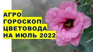 Агрогороскоп цветовода на июль 2022 года