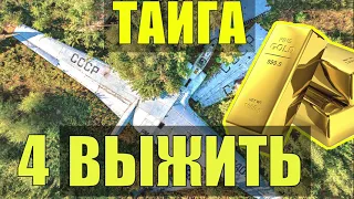 ОДИН В ТАЙГЕ ВЫЖИВАНИЕ ЗОЛОТО НА БОРТУ В ПОИСКАХ ЕДЫ КРУШЕНИЕ САМОЛЕТА АВАРИЙНАЯ ПОСАДКА в ЛЕСУ 4