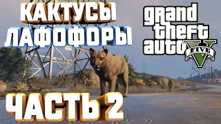 GTA V НА 100%+ КАКТУСЫ ЛАФОФОРЫ ЧАСТЬ 2