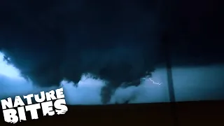 Will Stormchasers Survive the Eye of a Tornado? | Nature Bites