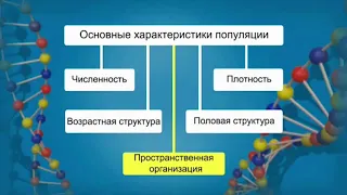 Популяция   элементарная единица эволюции  Видеоурок по биологии 11 класс