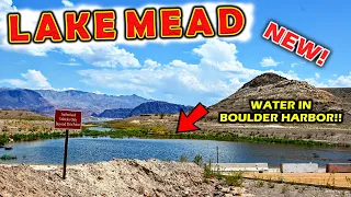 Lake Mead INCREDIBLE Before and After  | Hurricane Hilary, The Linq FLOODING Las Vegas & MORE!