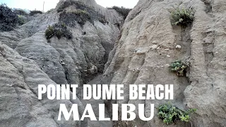 Point Dume Beach, Malibu Cliffs, Coves, Hiking and Rock Climbing | The Ceric Family