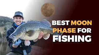 Best Moon Phase and Key Bites Times for Murray Cod Fishing (Chat with Rhys Creed & Jakko Davis)