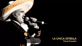 Vicente Fernandez - La Unica Estrella