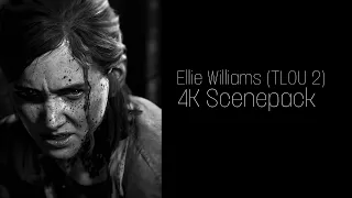 Ellie Williams 4K 60fps Scenepack (TLOU 2)