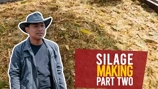 SILAGE MAKING PART 2