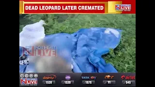 Decomposed carcass of leopardess found in Assam's Karbi Anglong