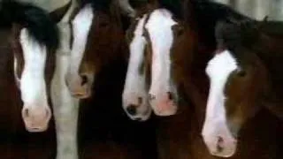 Banned Commercials - Budweiser 2003 Super Bowl