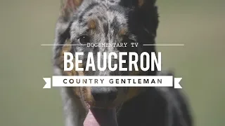 ALL ABOUT BEAUCERON: THE COUNTRY GENTLEMAN