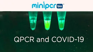 qPCR and COVID-19 Testing