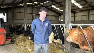 David Byrne Co Kildare talks about Precision Microbes silage additive