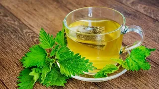 Drink A Glass Of Stinging Nettle Tea Every Day, THIS Will Happen To Your Body!