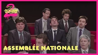 L'assemblée nationale - Palmashow