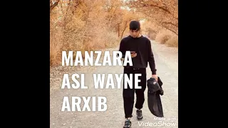 MANZARA ASL WAYNE REP MR.3 ARXIB