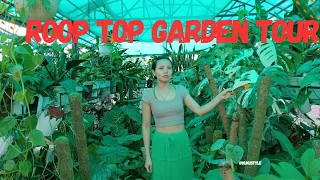 Nursery Garden tour //plants ☘️