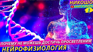 Почему Мы Так Ищем Просветления и Не Можем Его Достичь?! Научные Основы Духовного Поиска! l Никошо