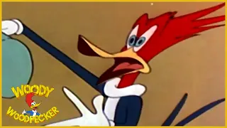 Woody Woodpecker Classic |  Who's Cookin' Who | Woody Woodpecker Full Episode | Videos for Kids