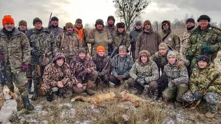 14.01.18 fox hunting