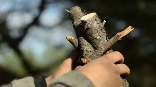 6 days solo bushcraft - canvas lavvu, bow drill, spoon carving, Finnish axe @ 18