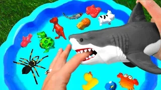 Learn with Wild Animals Toys - Sharks in Blue Water Tub - Toys For Kids