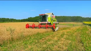 Combine Claas Dominator Sl Maxi 108