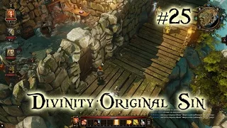 Divinity: Original Sin Кооператив [#25 Тайное логово]