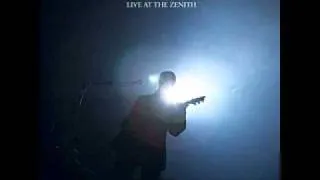 Archive - Pulse (live at the zenith)