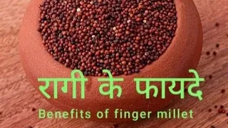 रागी के फायदे।Benefits of finger millet । रागी में कितना कैल्शियम होता है। रागी  कब सेवन करें ।