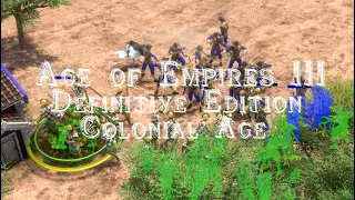Age of Empires 3 DE - Турнир Colonial Age | 3 этап