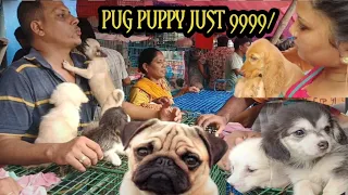 #galif Street pet market collection this week।।or price।।