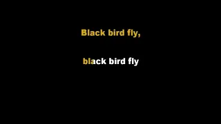 [Acoustic Karaoke] Blackbird - The Beatles (Guitar Version With Lyrics)