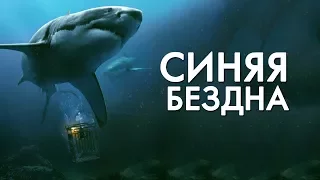 СИНЯЯ БЕЗДНА / 47 METERS DOWN (2017)