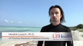 Florida coastal seaweed could help the body fend off cancers and inflammatory diseases