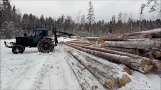 Фильм заготовка леса