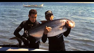 Spearfishing at Shipwrecks | Καρτερι στα Ναυαγια 🐟 👈 Part2