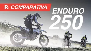 Enduro 250, comparativa Beta, Fantic, Husqvarna e KTM - In viaggio verso il mare